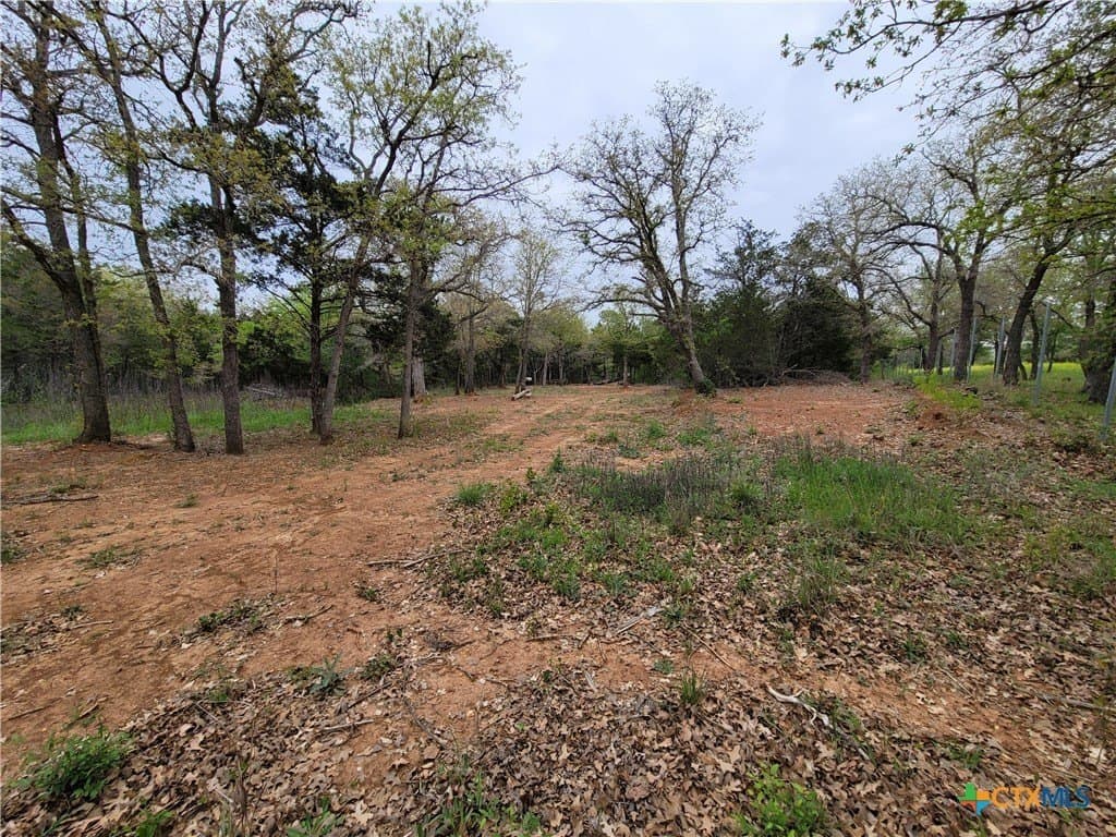 2.67 acres in Bastrop County gallery image 4