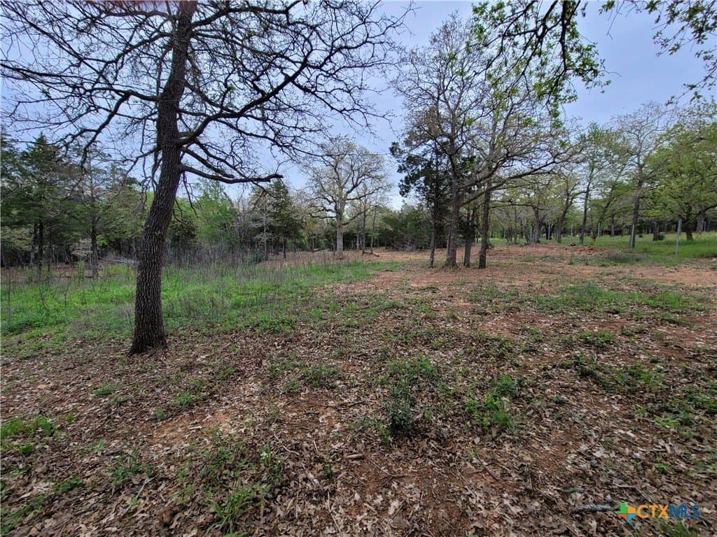 2.67 acres in Bastrop County - photo 15