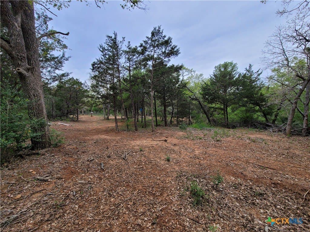 2.67 acres in Bastrop County - photo 9