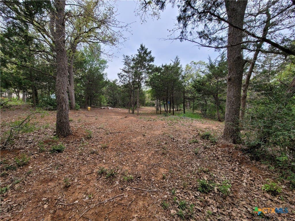 2.67 acres in Bastrop County - photo 8