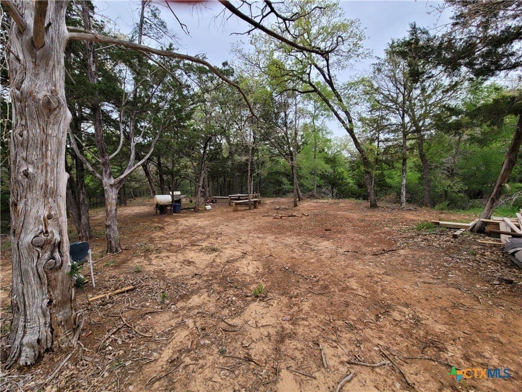 2.67 acres in Bastrop County - photo 11