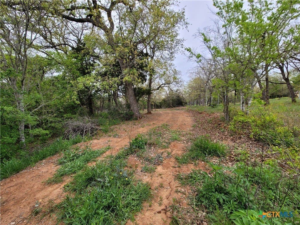 2.67 acres in Bastrop County - photo 20