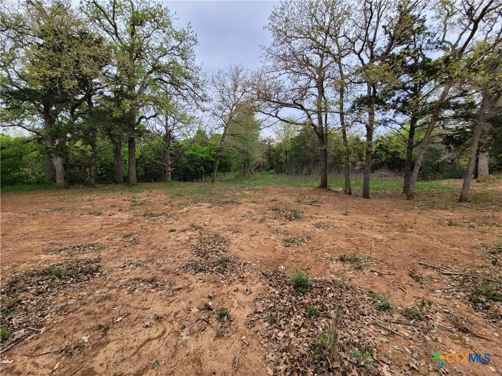 2.67 acres in Bastrop County gallery image 3