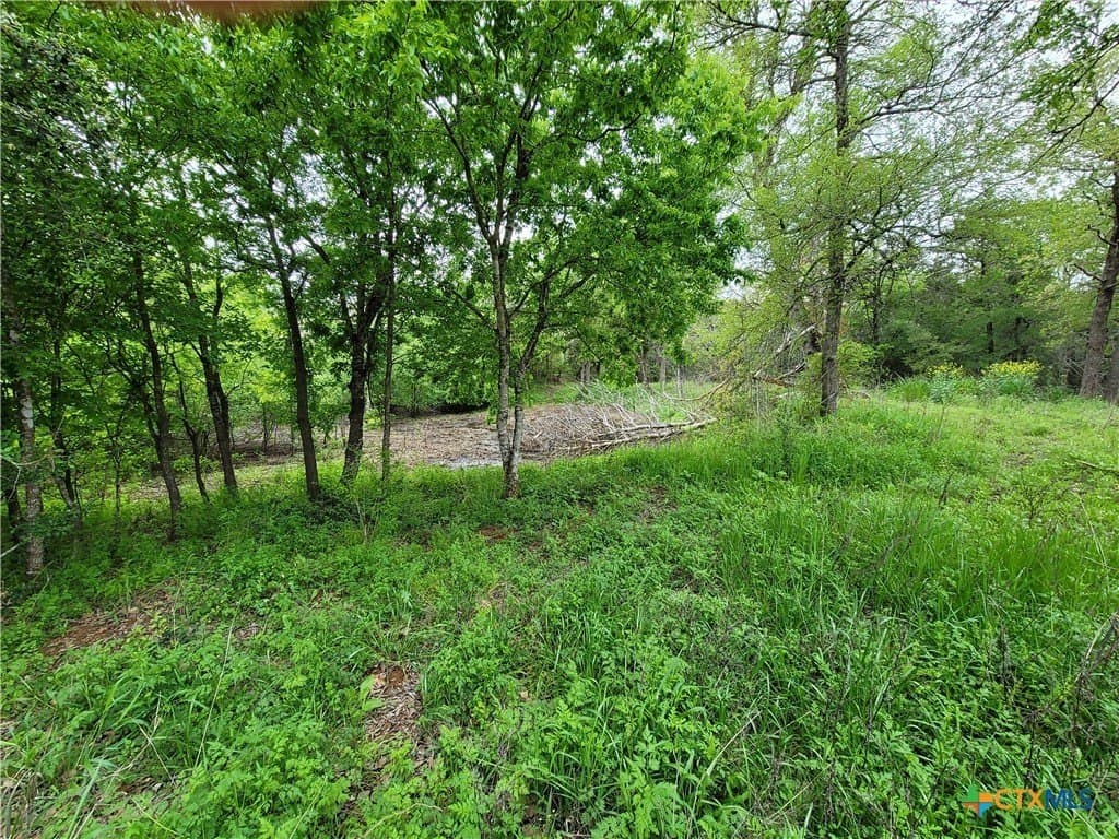 2.67 acres in Bastrop County - photo 17