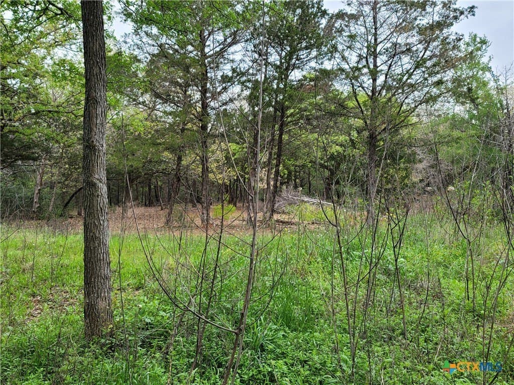2.67 acres in Bastrop County - photo 19