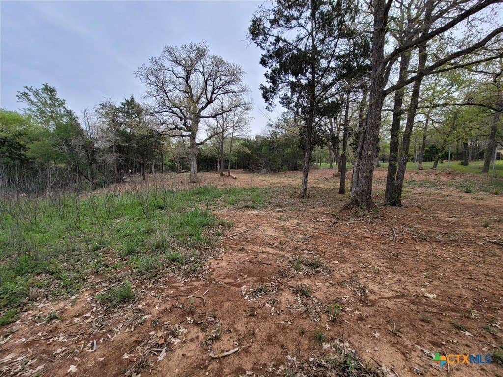 2.67 acres in Bastrop County - photo 14