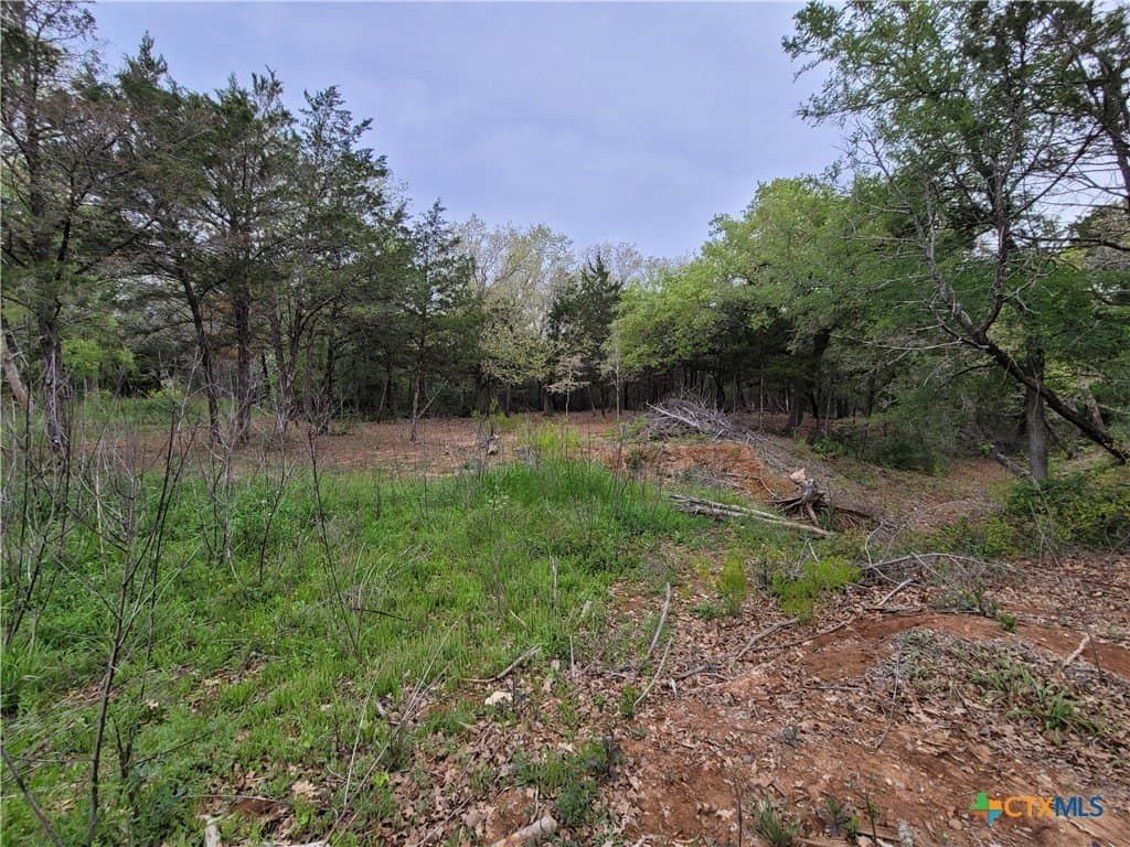 2.67 acres in Bastrop County - photo 16