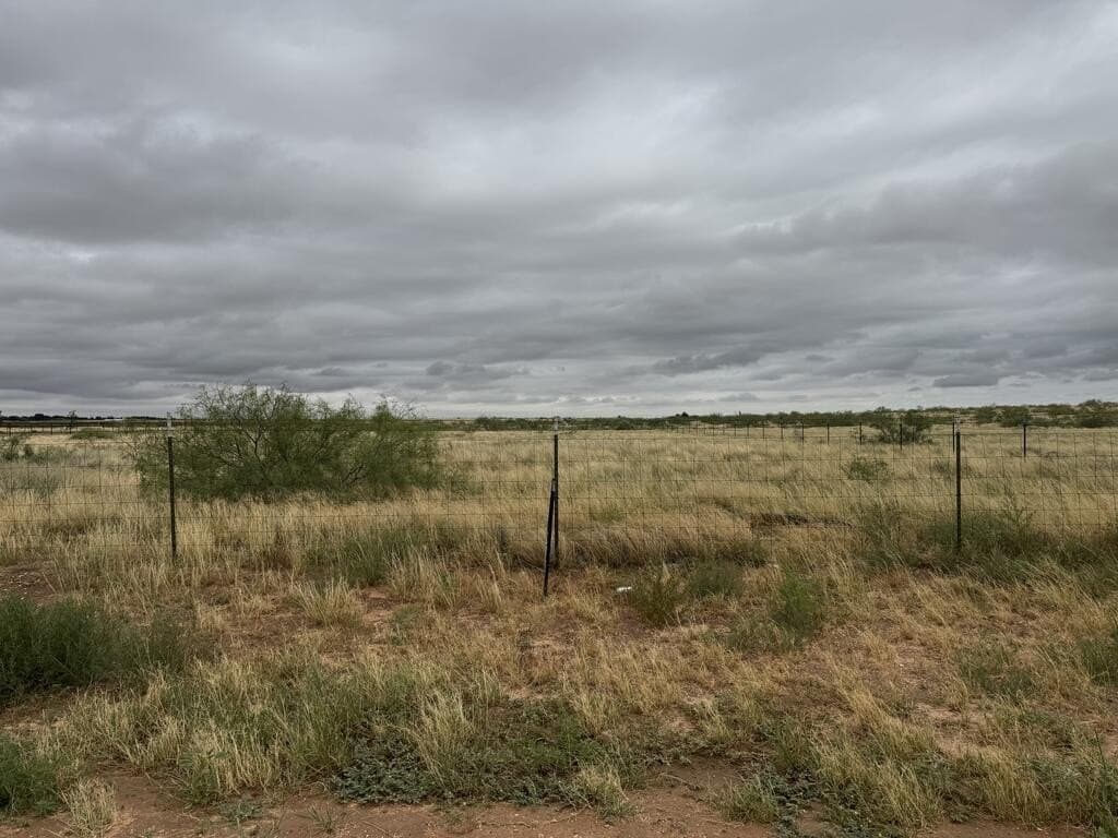 2.19 acres in Midland County - photo 3