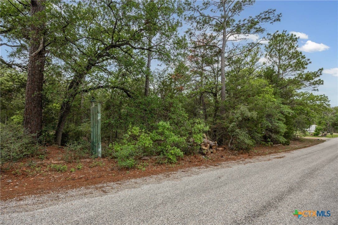 8.43 acres in Bastrop County gallery image 4