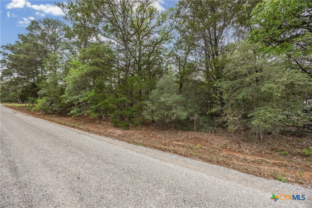 8.43 acres in Bastrop County - photo 6
