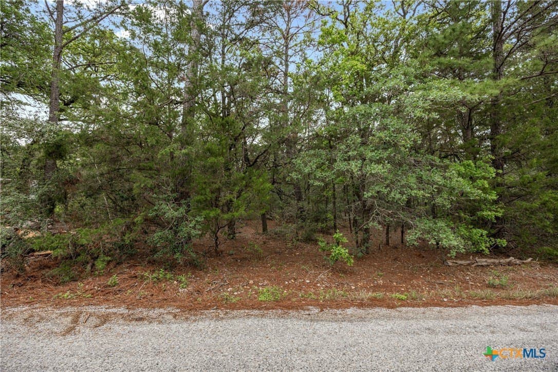 8.43 acres in Bastrop County featured view
