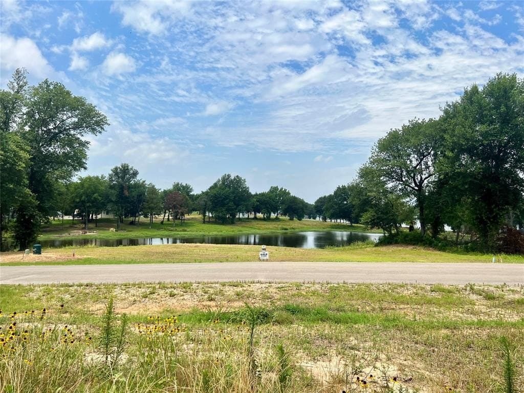 0.46 acres in Kaufman County gallery image 2