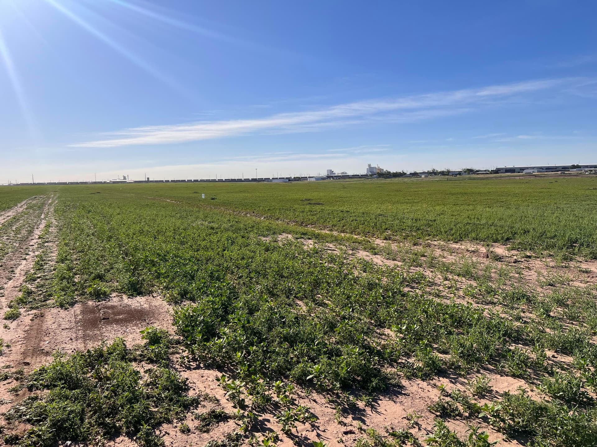 2.66 acres in Deaf Smith County gallery image 3