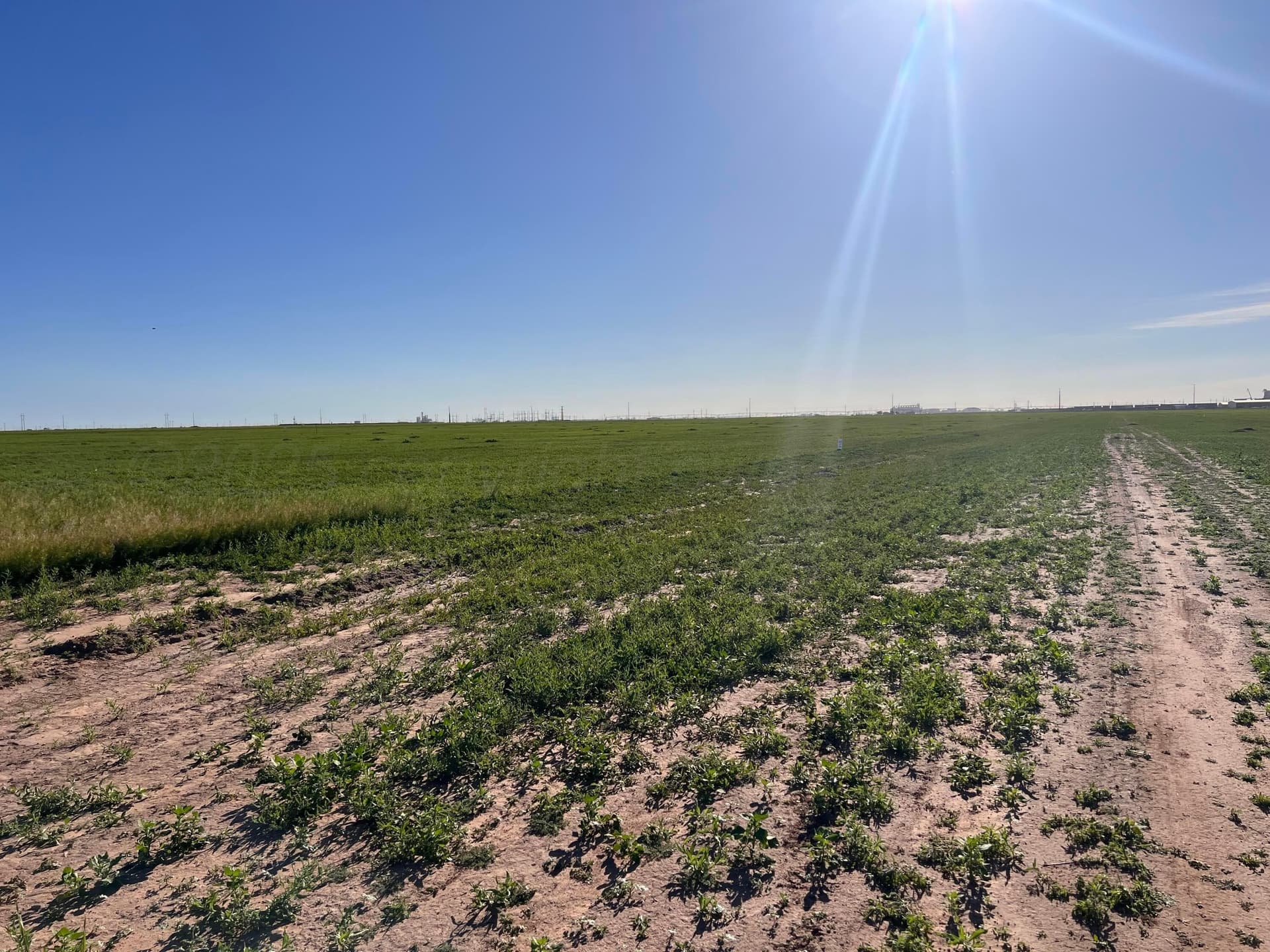 2.66 acres in Deaf Smith County gallery image 4