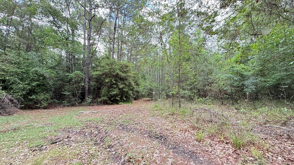 0.23 acres in Texas County - photo 6
