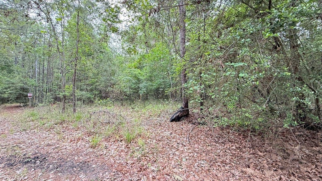 0.23 acres in Texas County - photo 7