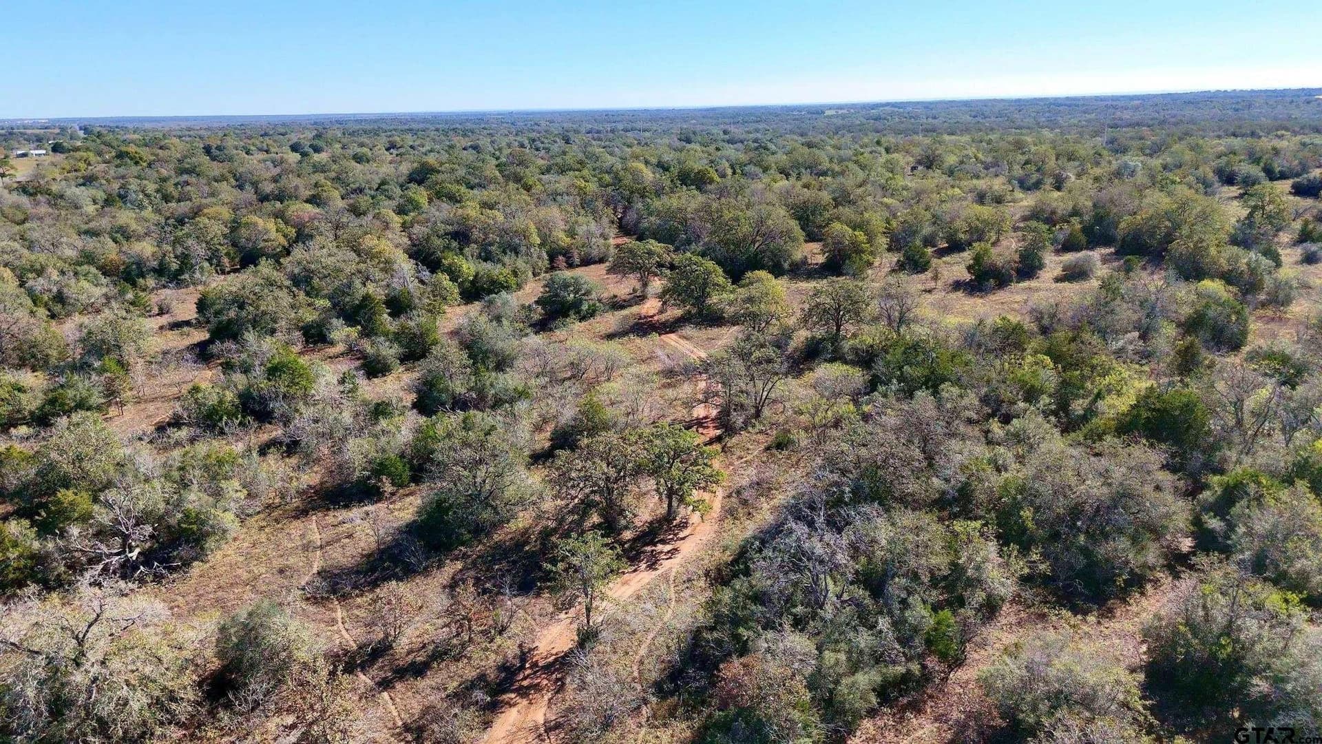 284 acres in Gonzales County - photo 9