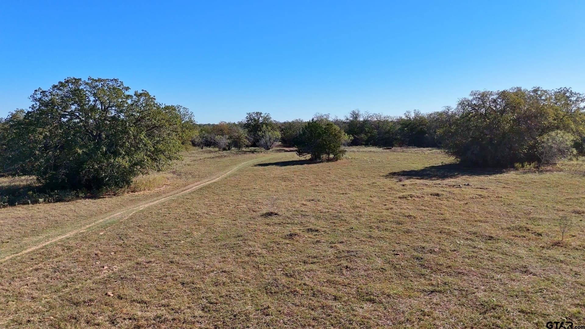 284 acres in Gonzales County - photo 11