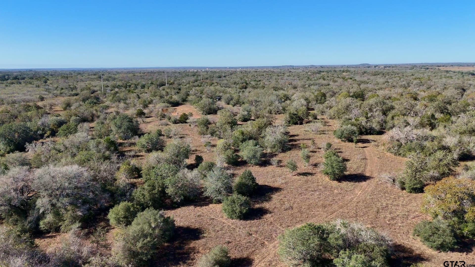 284 acres in Gonzales County - photo 12