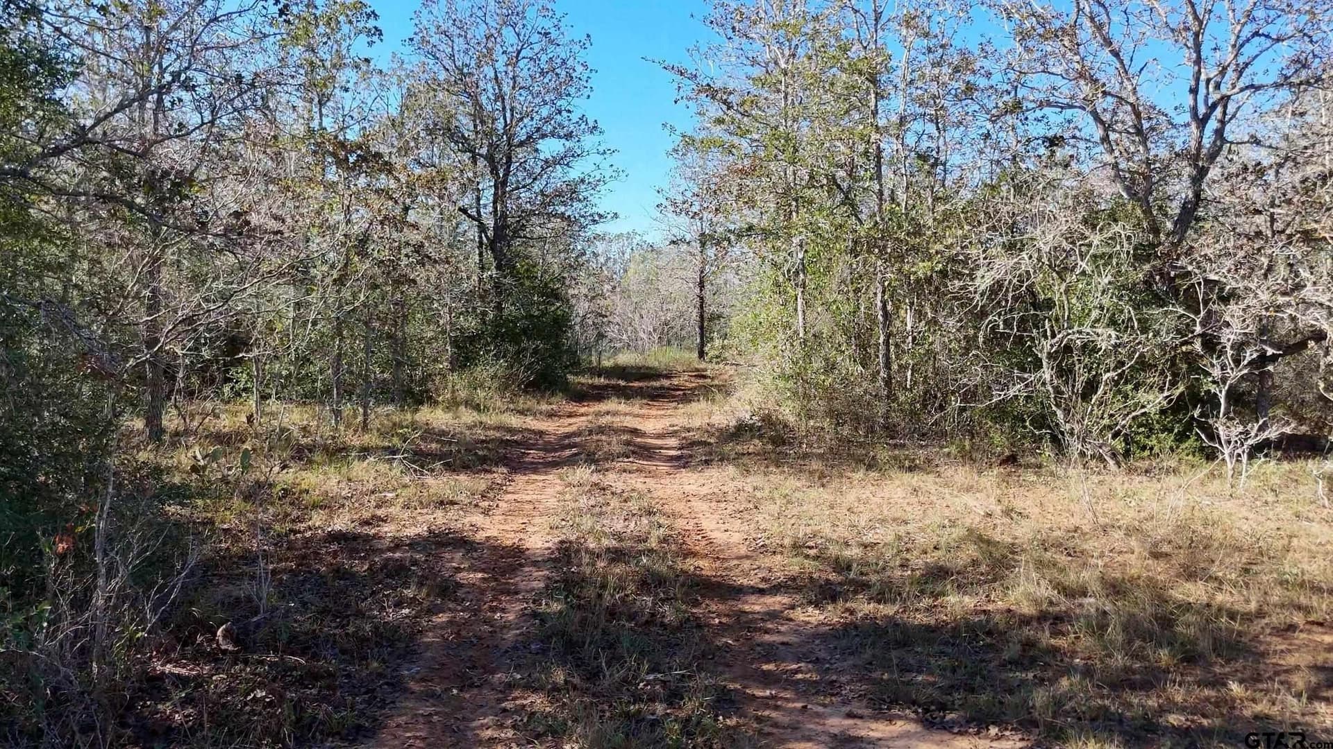 284 acres in Gonzales County - photo 7