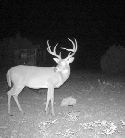 100 acres in Sutton County - photo 43