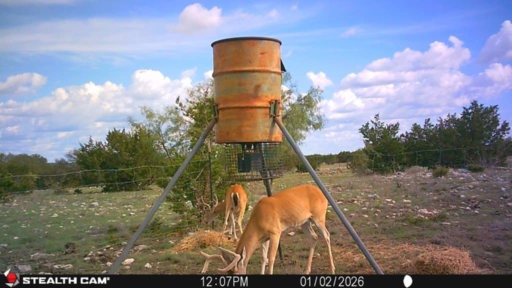 100 acres in Sutton County - photo 39