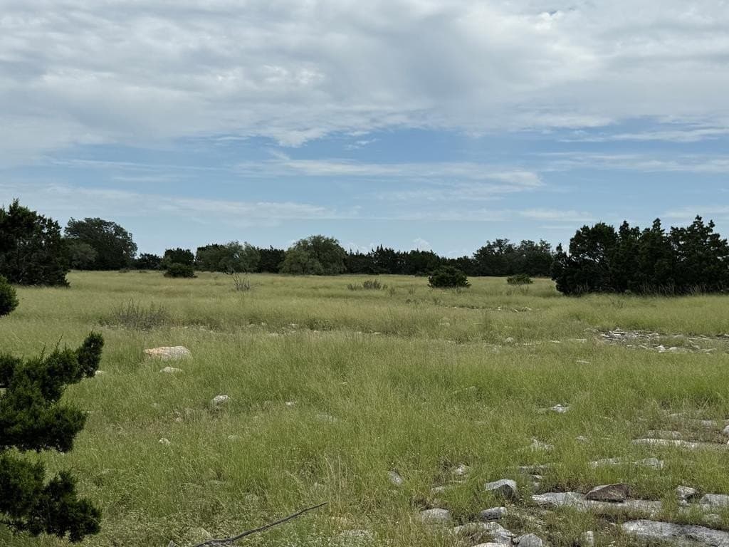 100 acres in Sutton County - photo 25