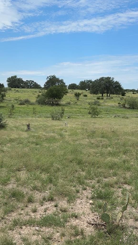 100 acres in Sutton County - photo 24