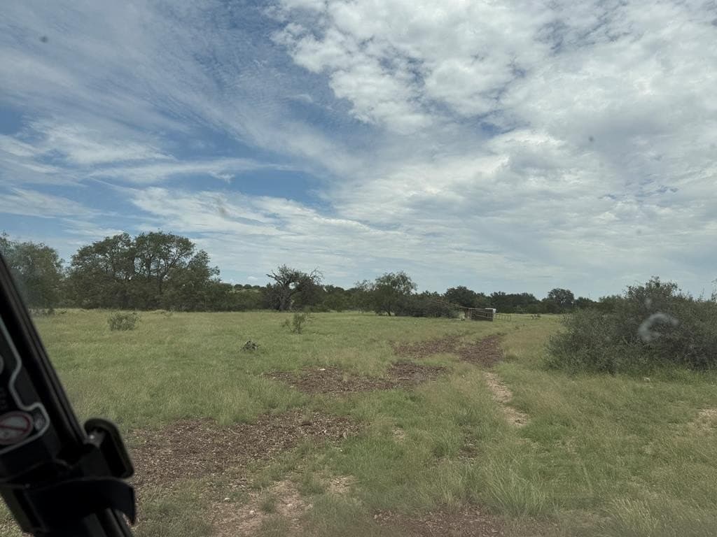 100 acres in Sutton County - photo 36