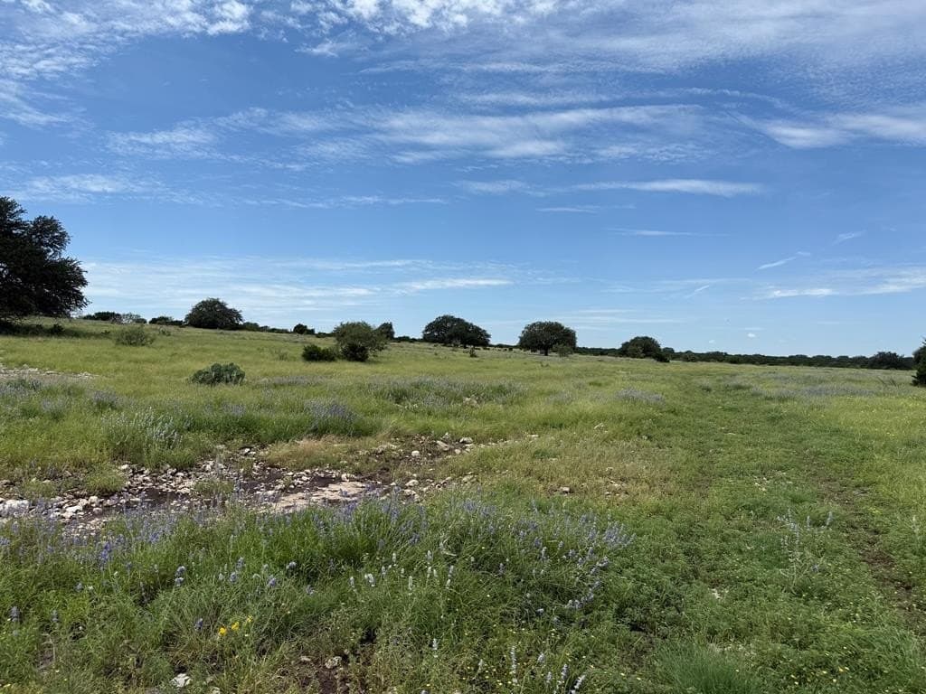 100 acres in Sutton County - photo 28