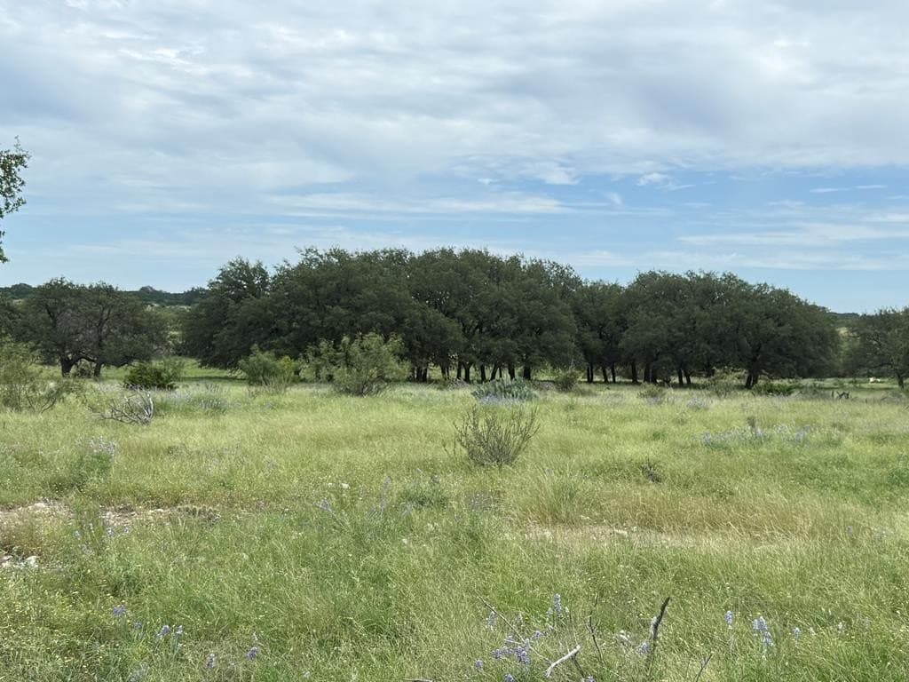 100 acres in Sutton County - photo 30