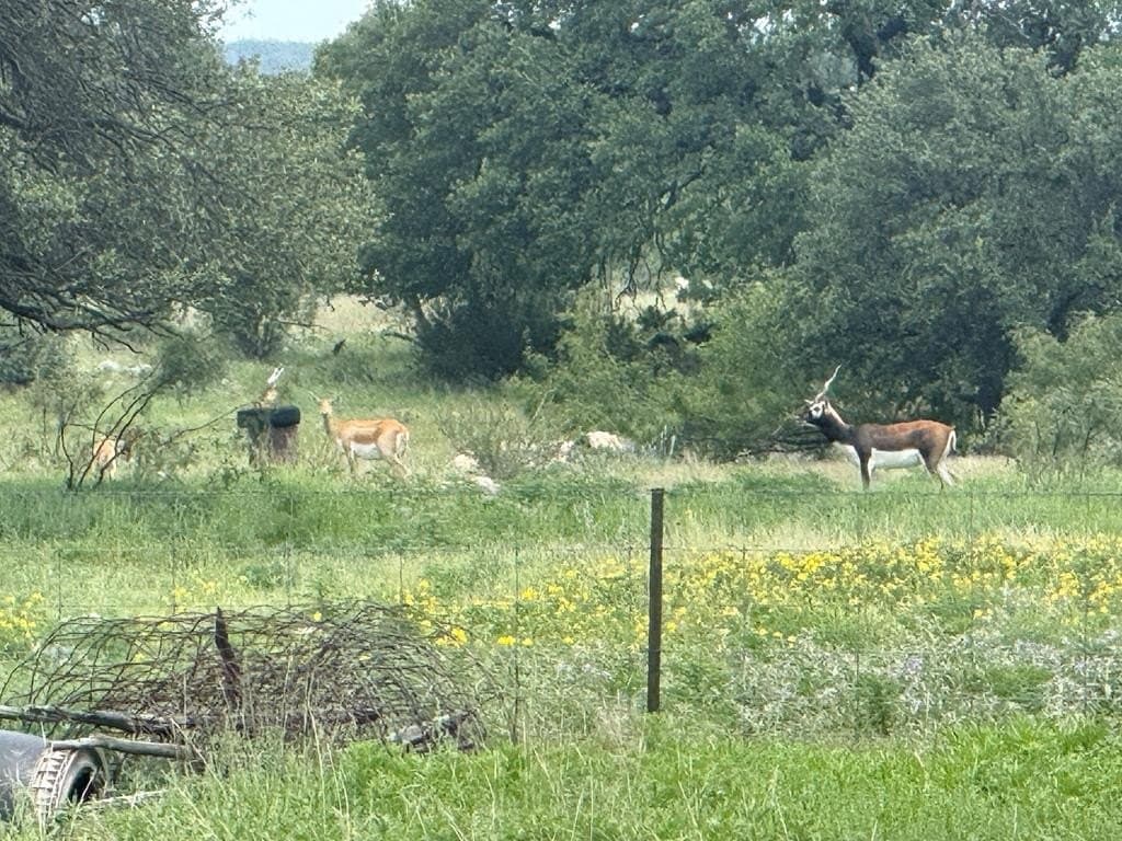 100 acres in Sutton County - photo 48