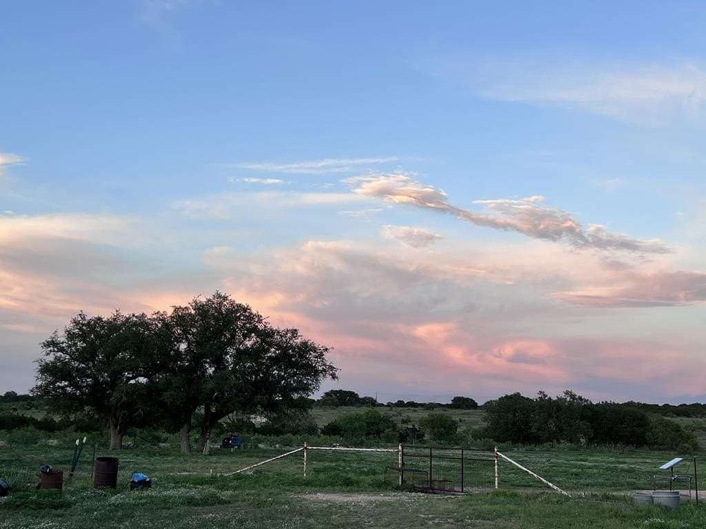 100 acres in Sutton County - photo 9