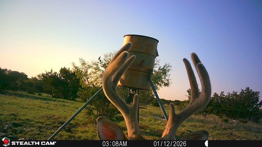 100 acres in Sutton County - photo 41