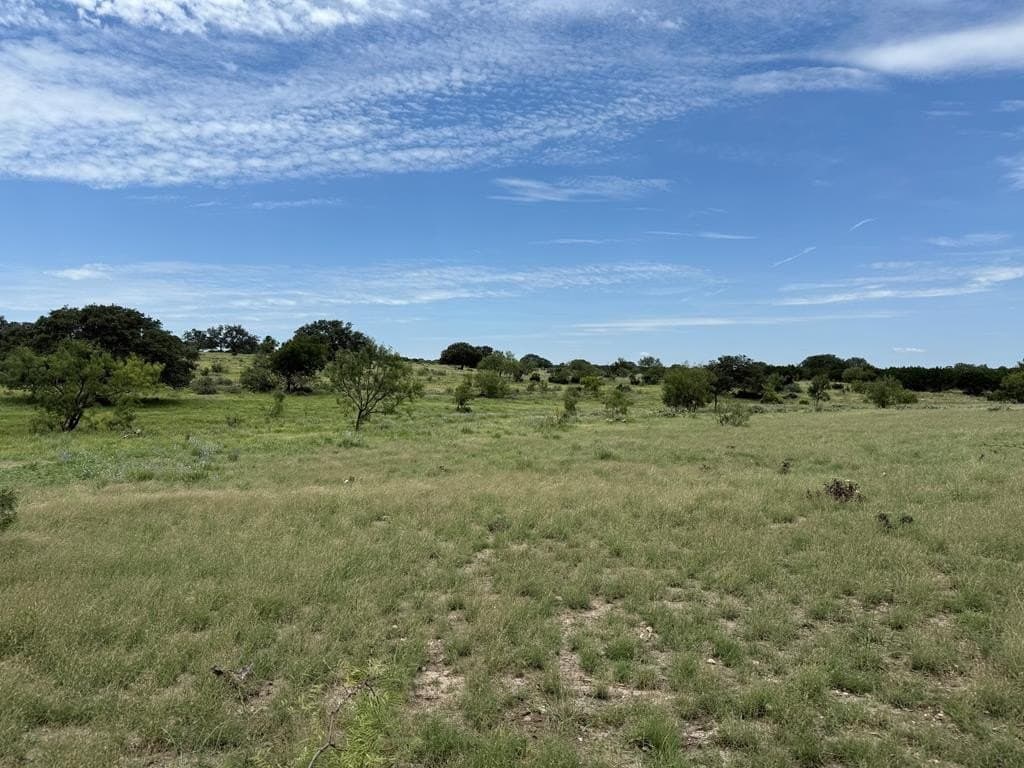 100 acres in Sutton County - photo 54