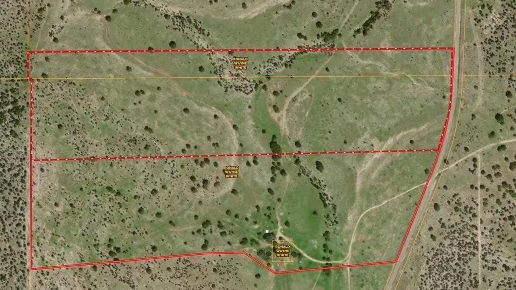 100 acres in Sutton County - photo 70