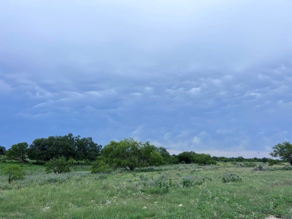 100 acres in Sutton County - photo 8