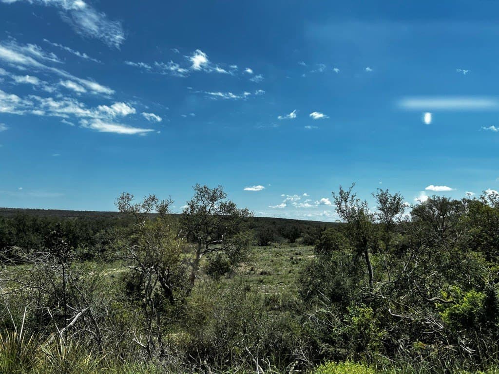 100 acres in Sutton County - photo 16