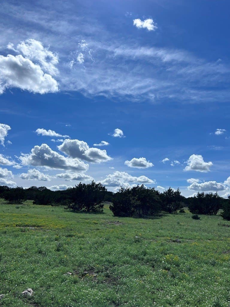 100 acres in Sutton County - photo 11