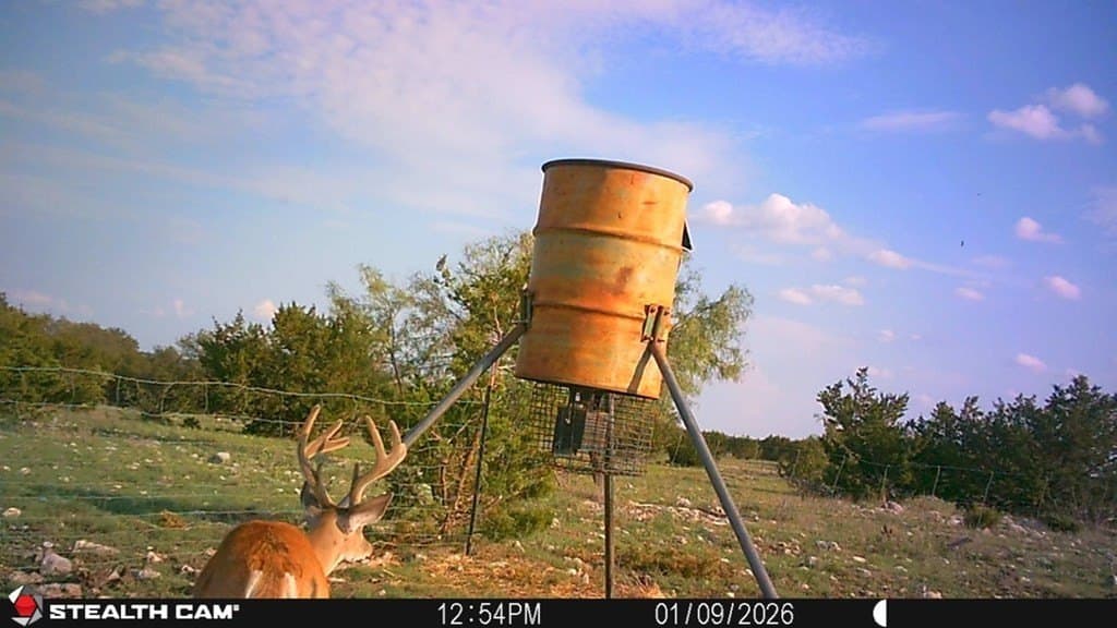 100 acres in Sutton County - photo 40