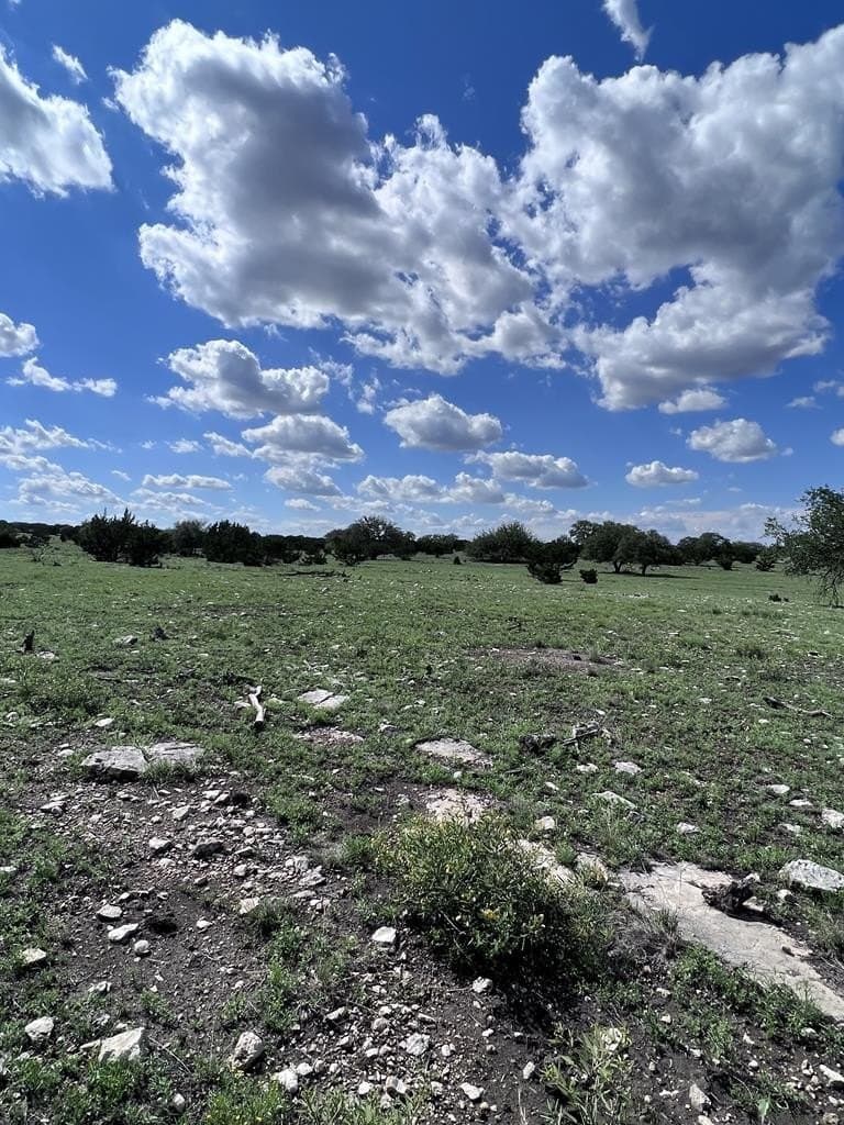 100 acres in Sutton County - photo 20