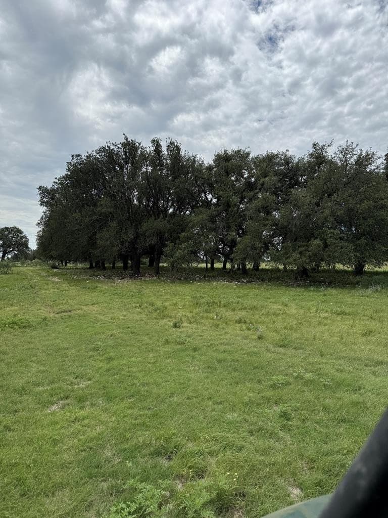 100 acres in Sutton County - photo 31