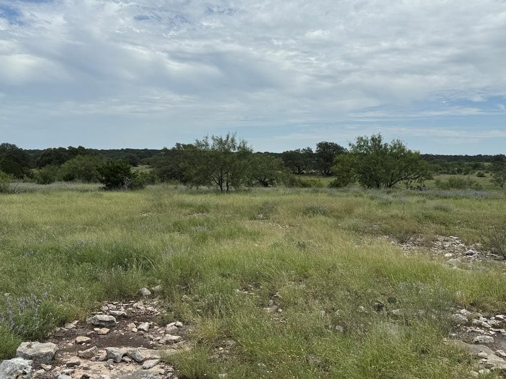 100 acres in Sutton County - photo 29
