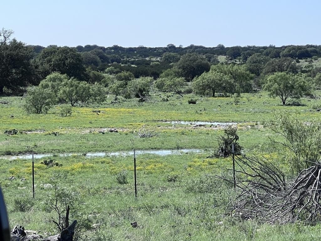 100 acres in Sutton County - photo 6