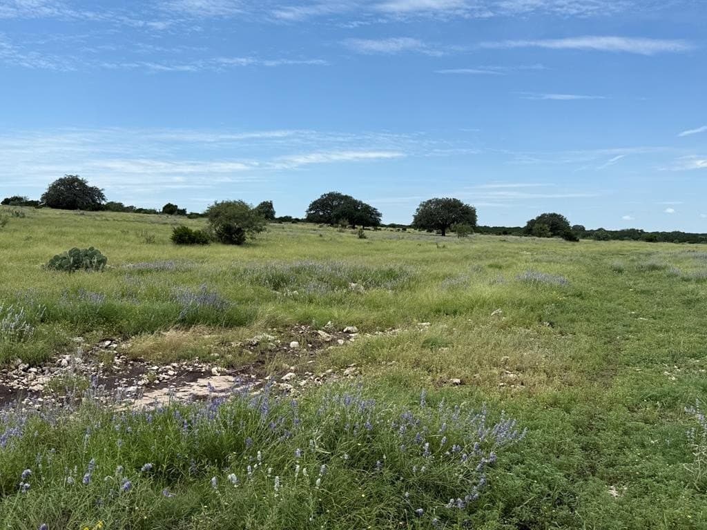 100 acres in Sutton County - photo 32