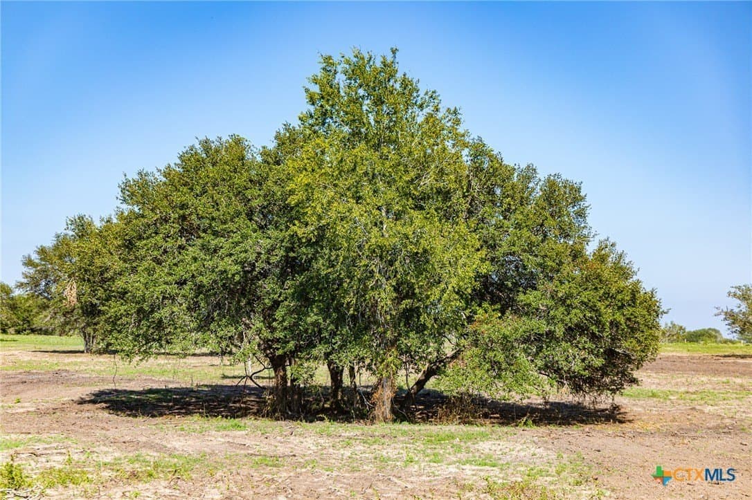 4.14 acres in Lavaca County gallery image 4