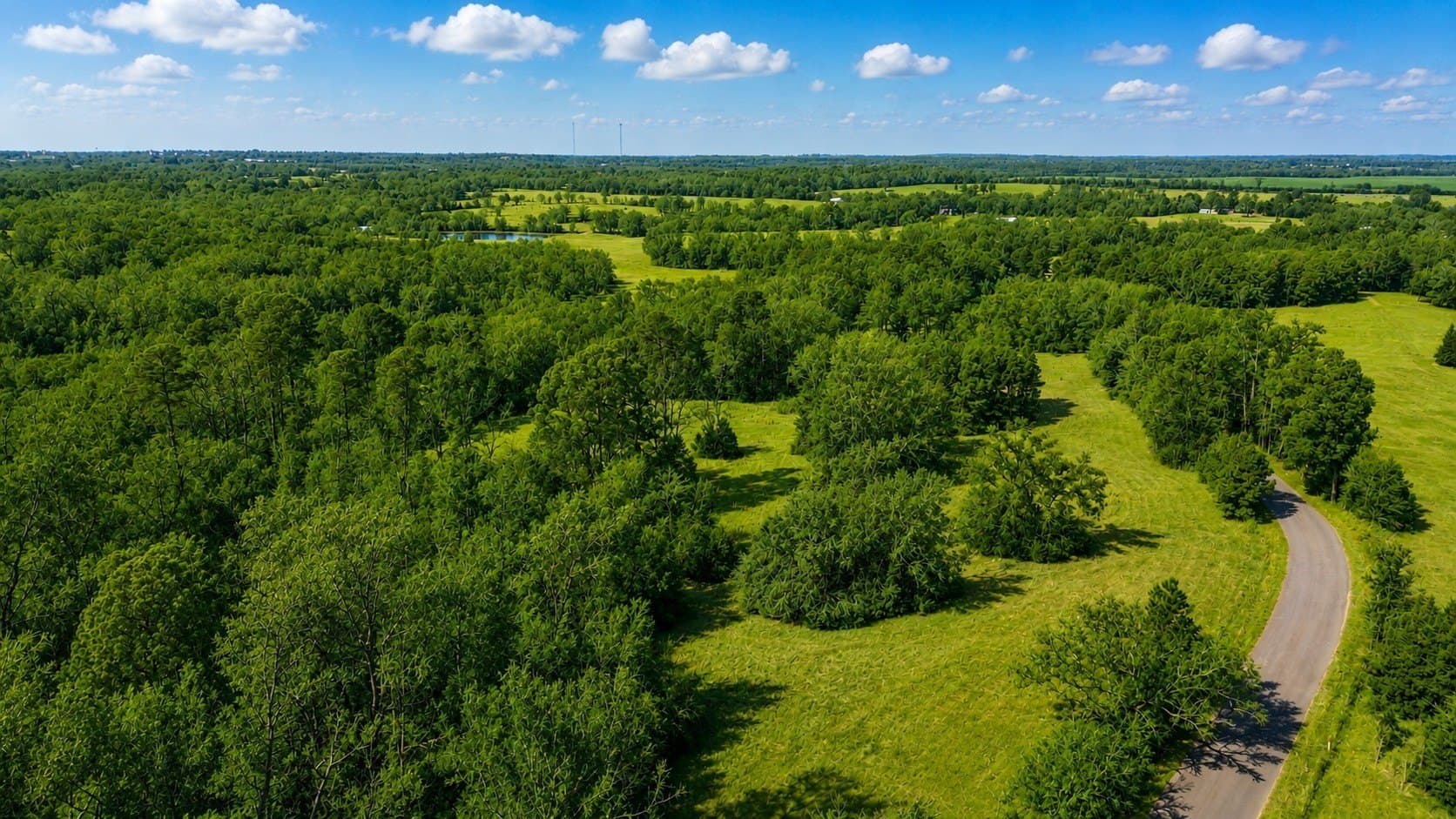 111.7 acres in Wood County - photo 8