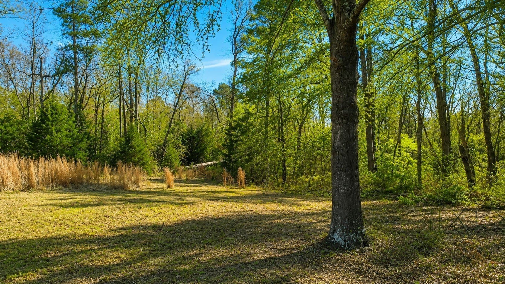 111.7 acres in Wood County featured view