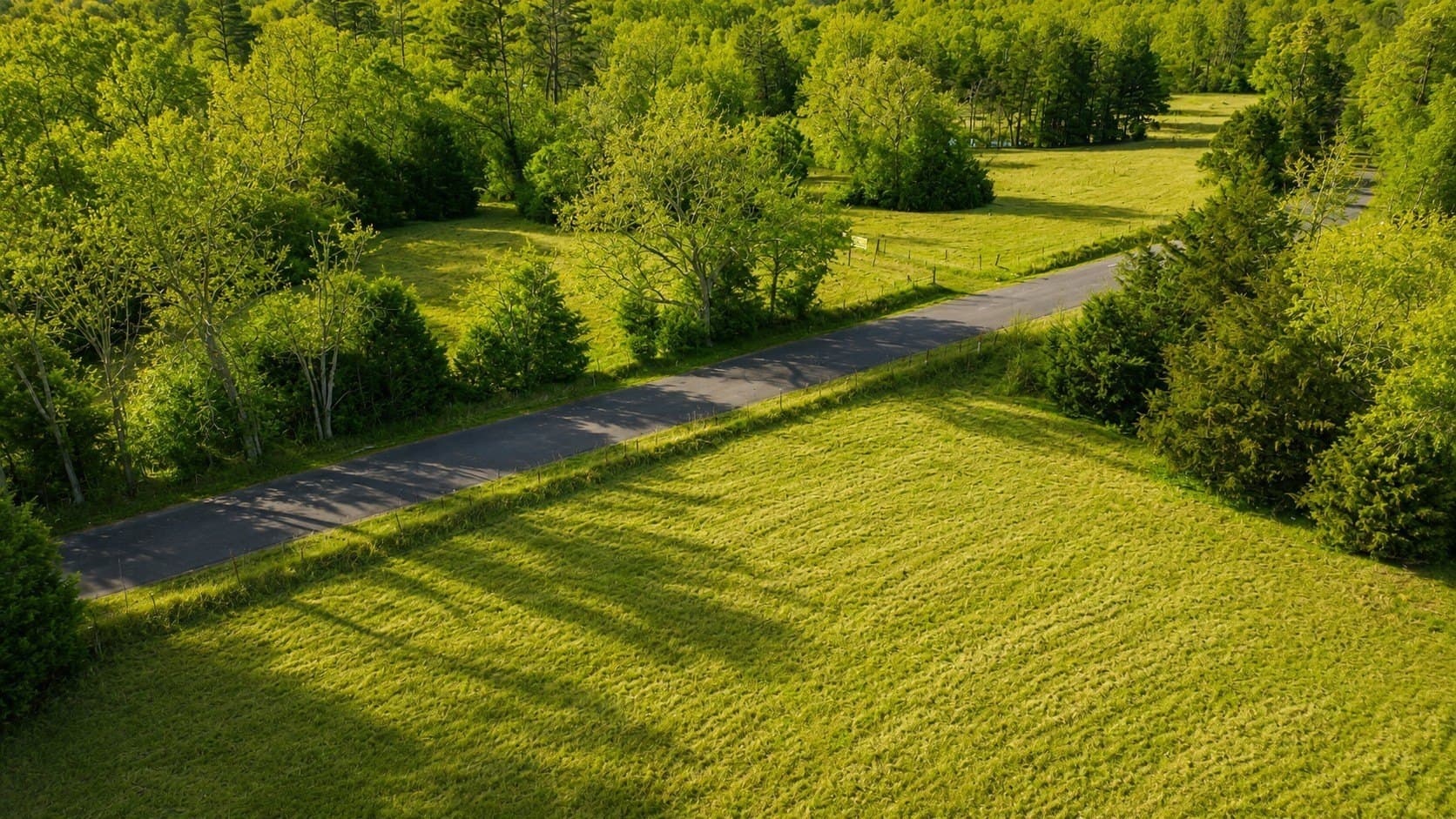 111.7 acres in Wood County - photo 9