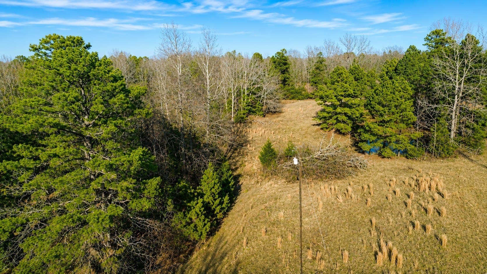 111.7 acres in Wood County - photo 7